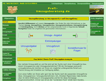 Tablet Screenshot of profi-umzugsberatung.de
